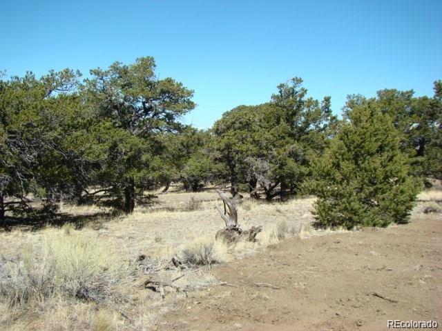 109 Crosstimber Lane - Photo 1