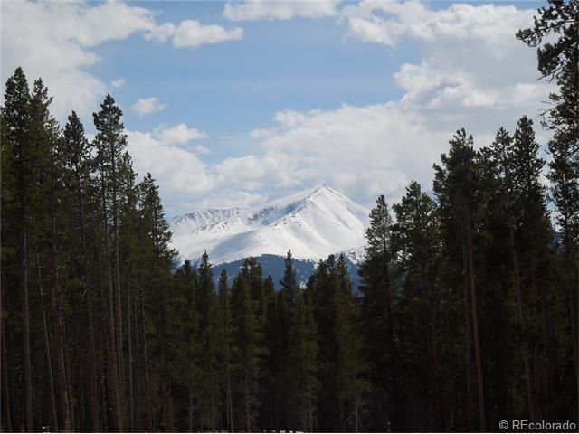 15 Elk Trail - Photo 1