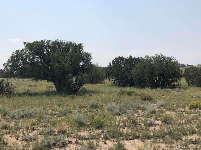 lot 9 Longhorn Ranch - Photo 1