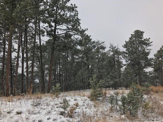 19325 Hilltop Pines Path - Photo 1