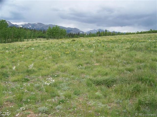 0 Selkirk Lane - Photo 1