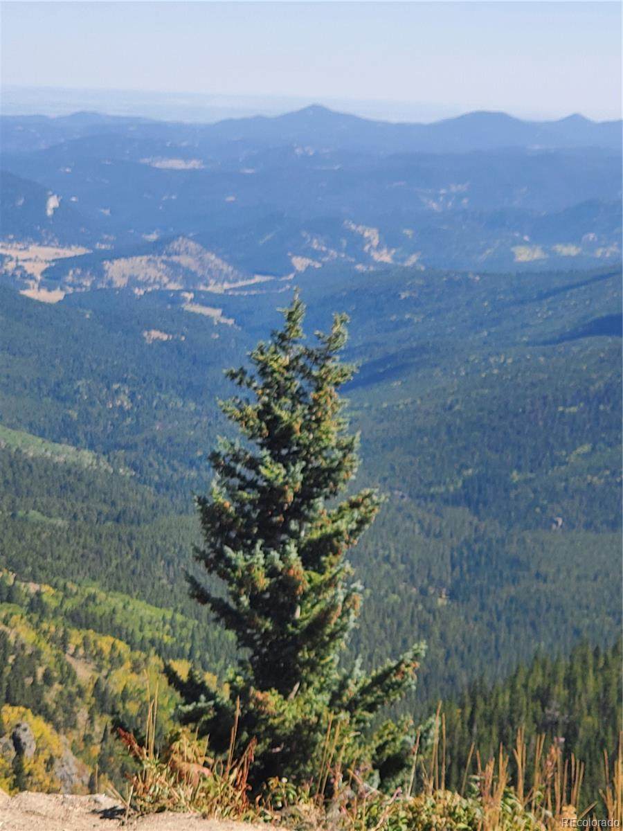 Virginia Canyon Road - Photo 1