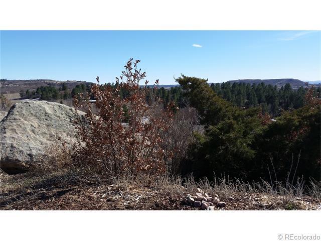 46 Oakridge Drive, Castle Rock, CO 80104 (MLS #5581166) :: 8z Real Estate