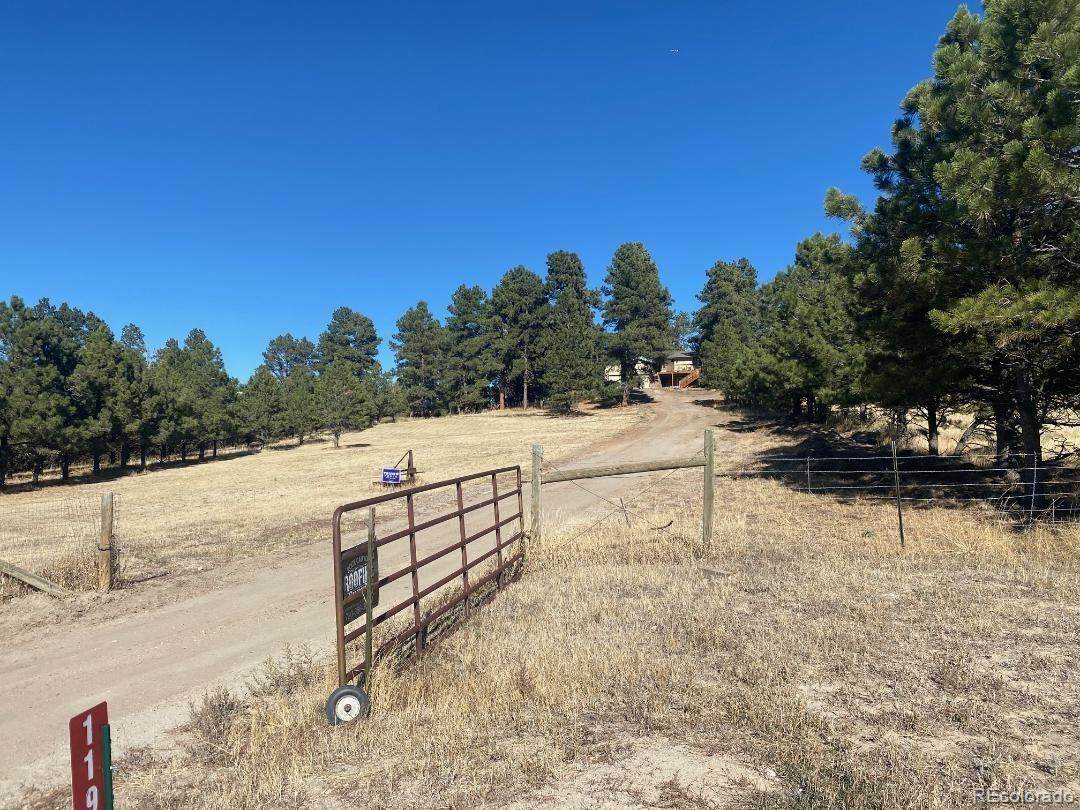 11981 Ponderosa Lane - Photo 1