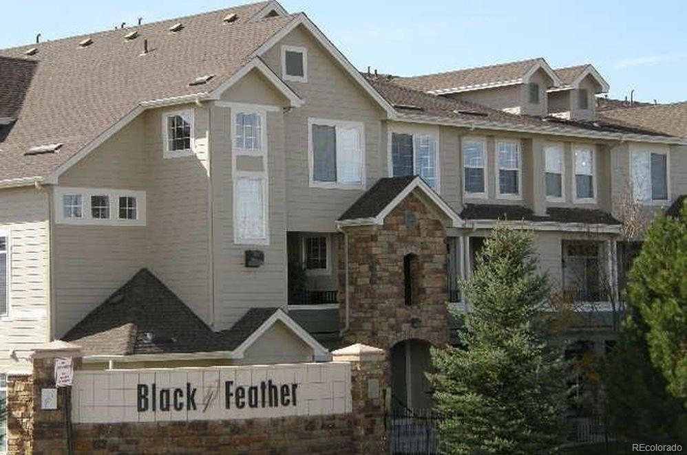 479 Black Feather Loop - Photo 1
