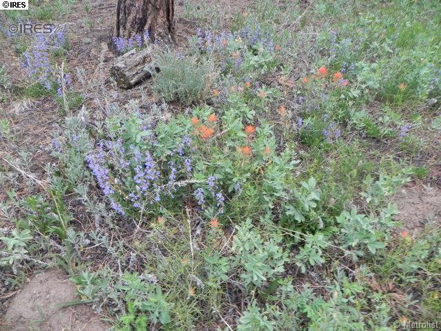 19 Wagon Wheel Trail - Photo 1