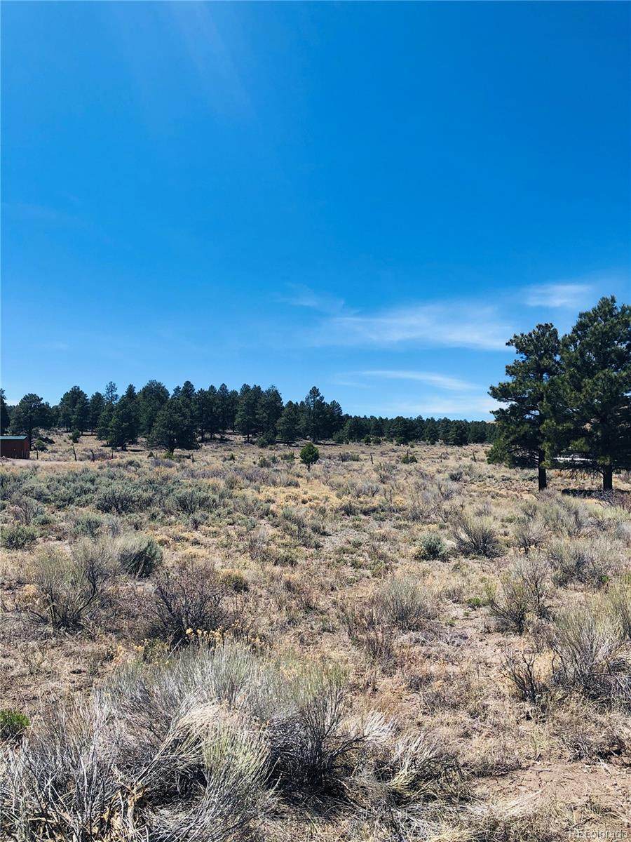 21 Conejos Trails Drive - Photo 1