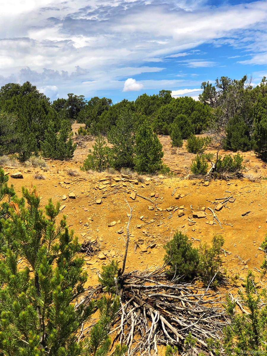 Lot 5 Calle La Sierra Blanka Drive - Photo 1 Lot 5 Calle La Sierra Blanka Drive - Photo 1