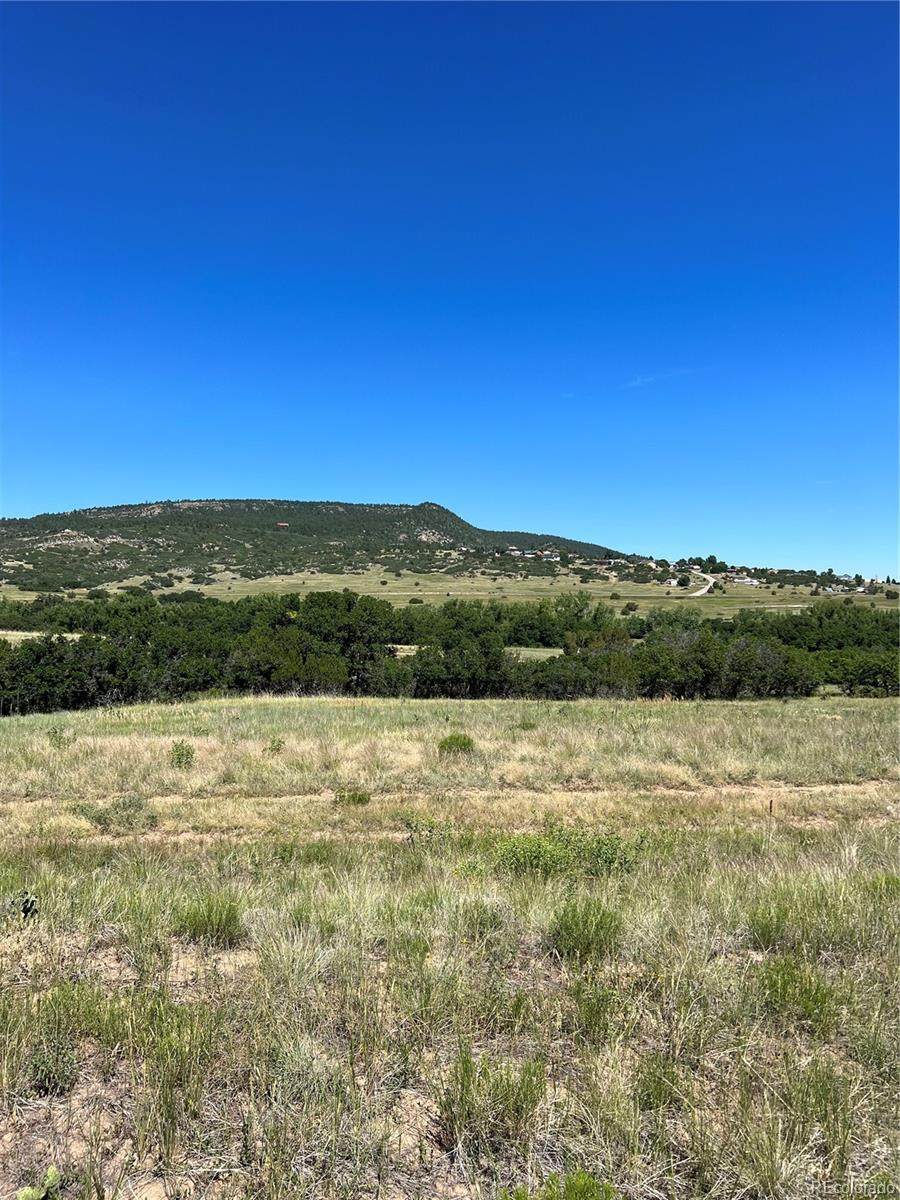 lot 523 Emrich Park Way - Photo 1
