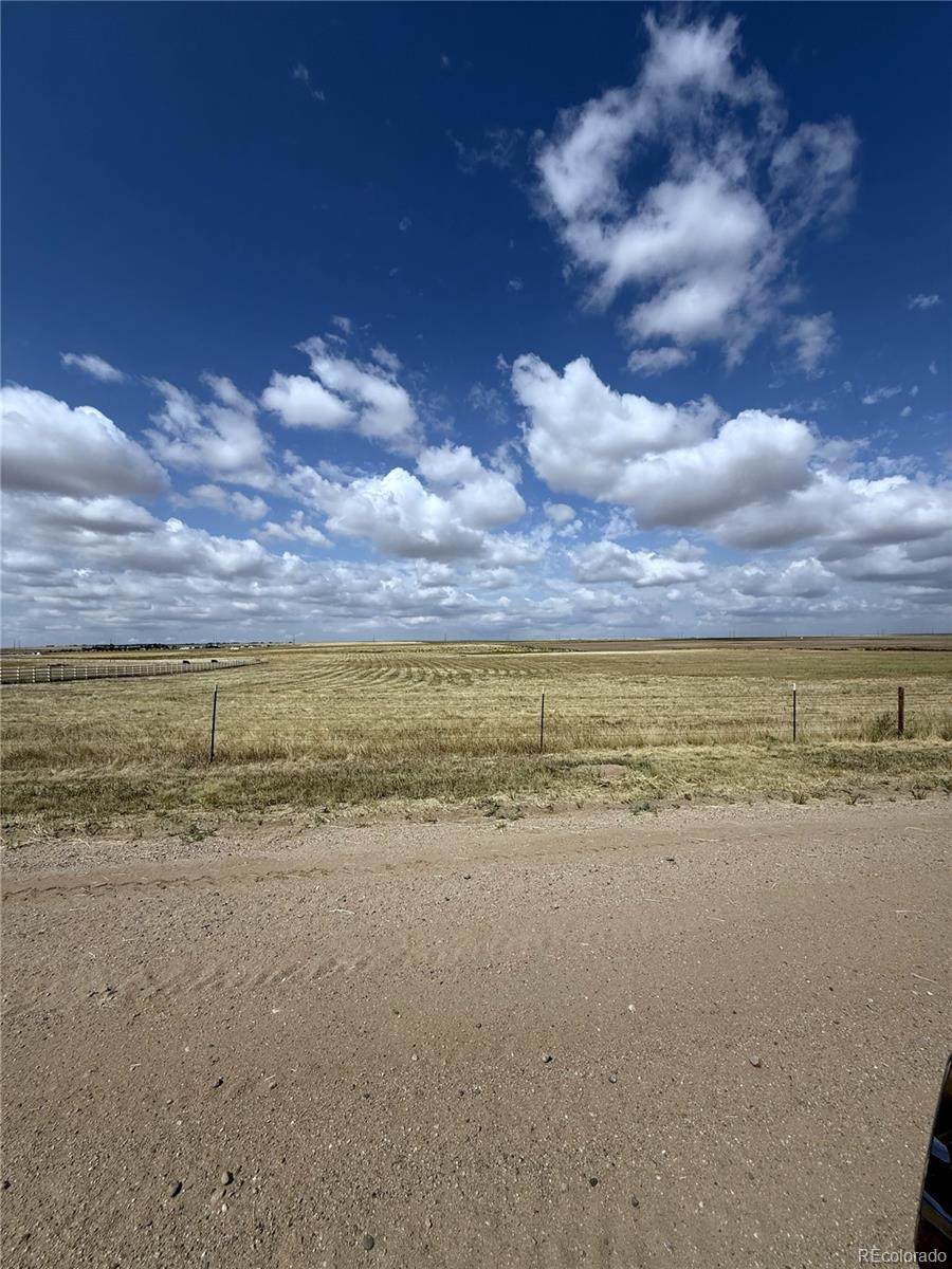 14771 Harback Road - Photo 1