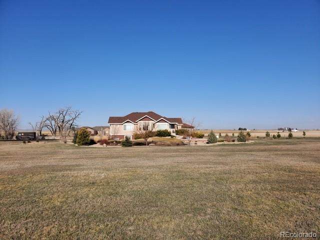 33469 Faith Lane - Photo 1