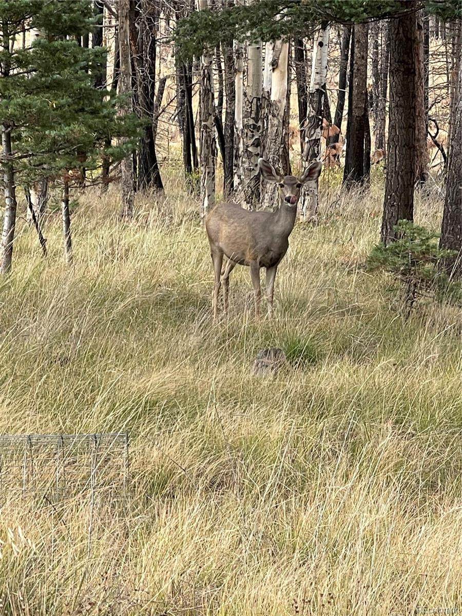 lot 542 Forbes Park - Photo 1