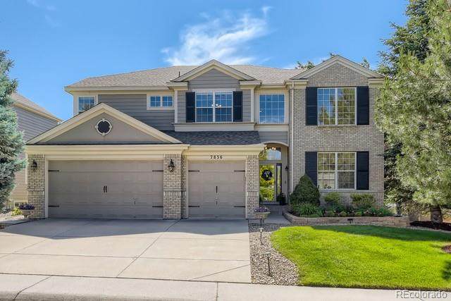 7856 Stonedale Drive - Photo 1
