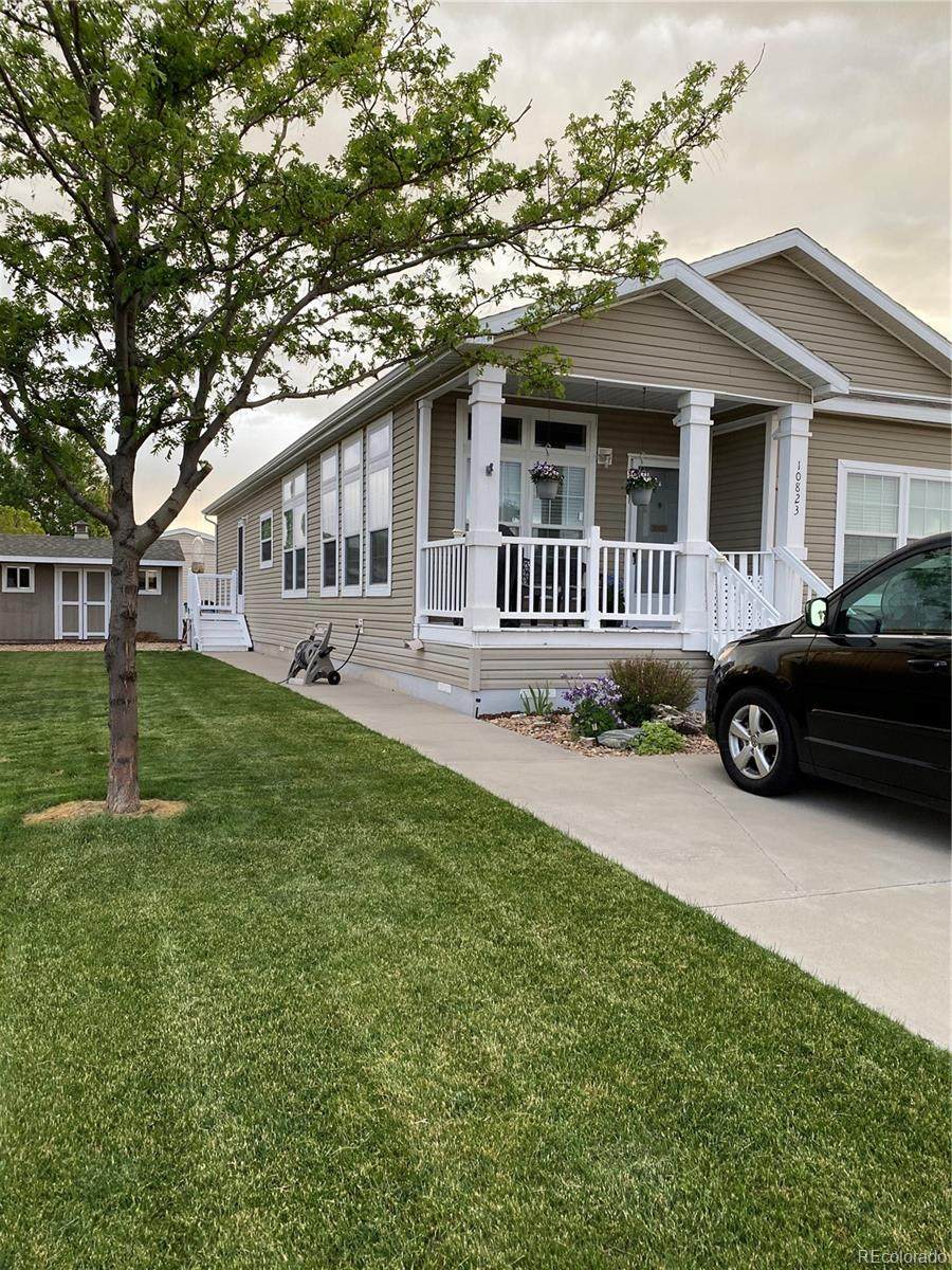 10823 Bailey Street - Photo 1