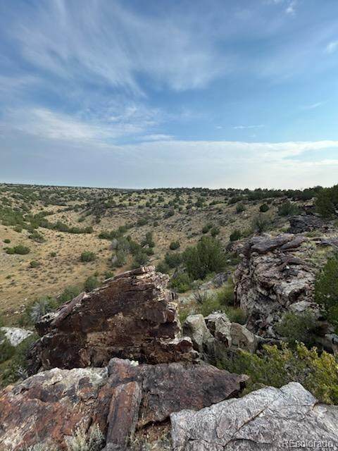  White Rock - Photo 1