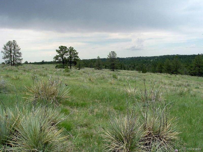 23578 Lost Creek Trail - Photo 1