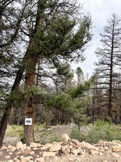 0 Middle Fork Vista - Photo 1