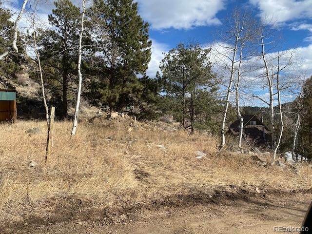 404 Bob Cat Trail - Photo 1