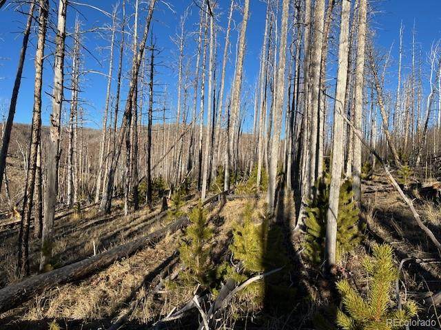 Lot 1502 Vonheyl Lane - Photo 1