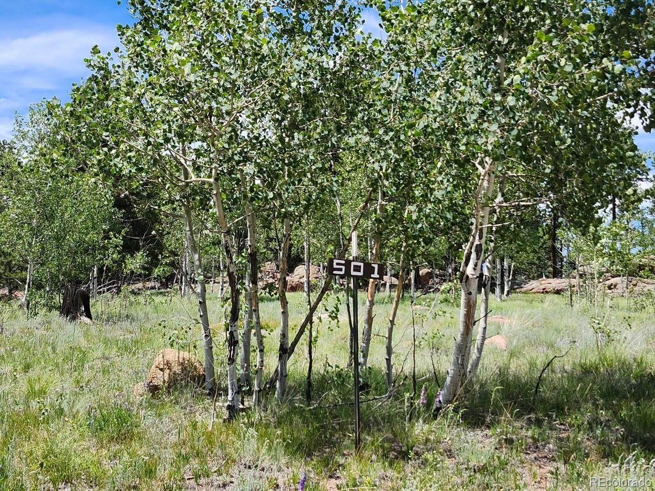 501 Cr-403 - Photo 1