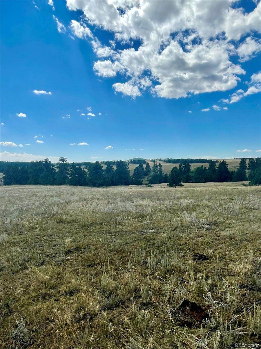 11654 County Rd 102 - Photo 1