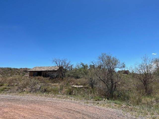 1041 Lone Tree Circle - Photo 1