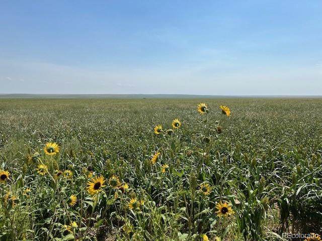  Tbd 96th Ave - Photo 1