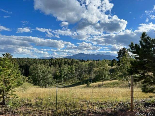 Schubarth Trail - Photo 1