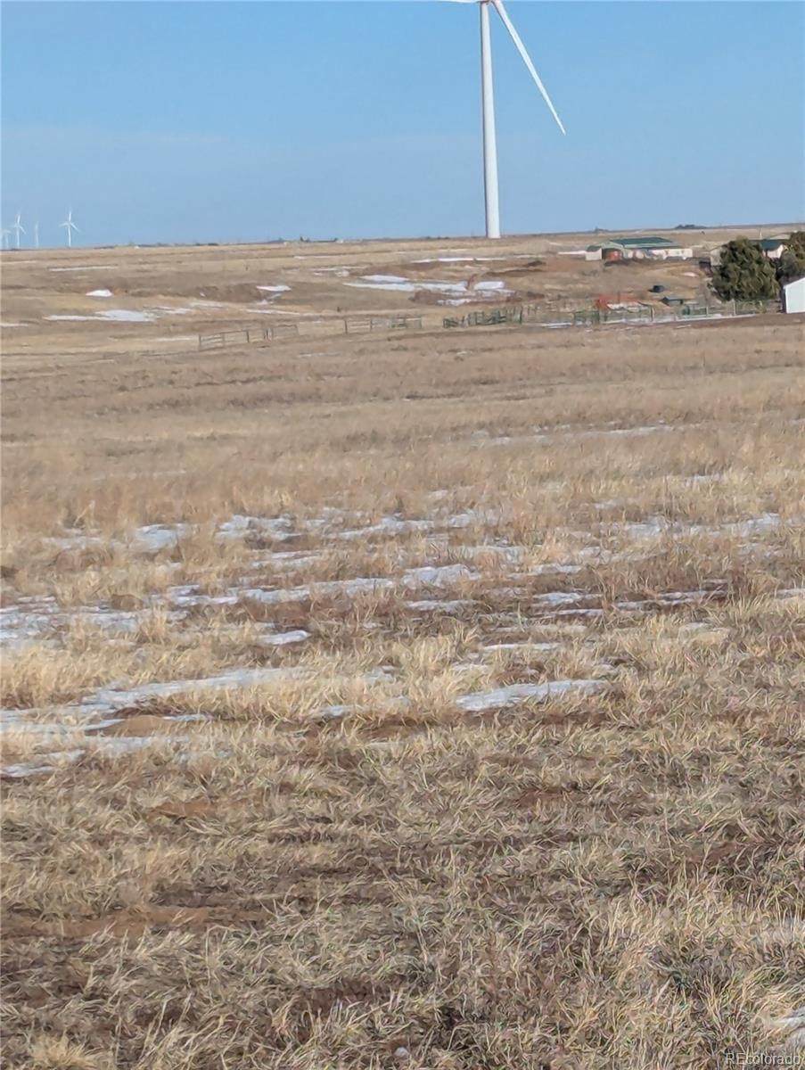 10515 Currier Road - Photo 1