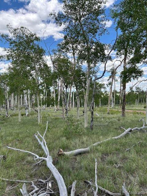 807 Bolster Drive - Photo 1