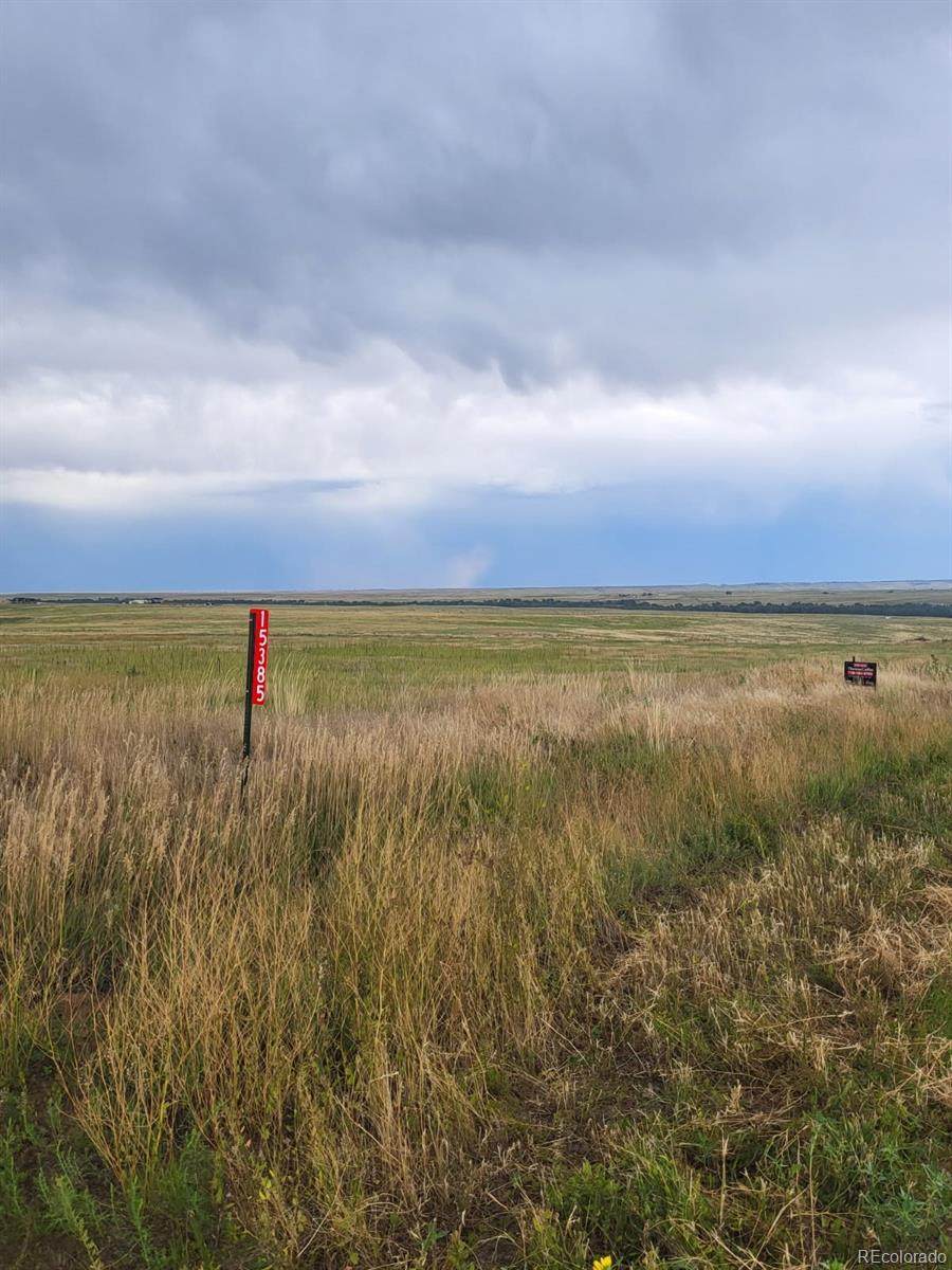 15385 County Road 166 - Photo 1