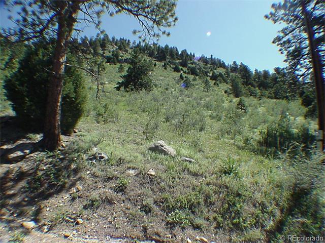 Sleeping Bear Lane - Photo 1