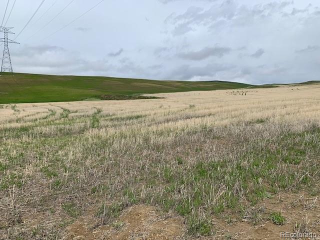 Tbd County Road 30 - Photo 1