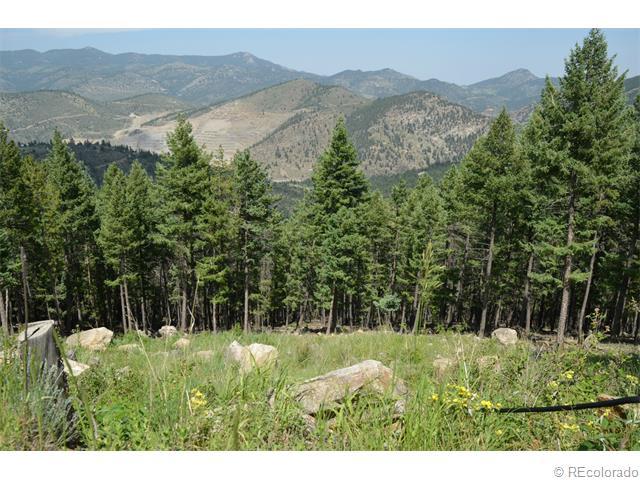 93 Sawmill Creek Road - Photo 1
