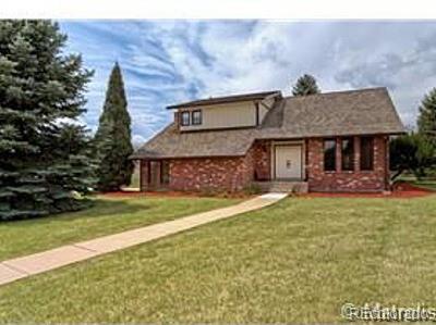 5891 Wood Sorrel Drive - Photo 1
