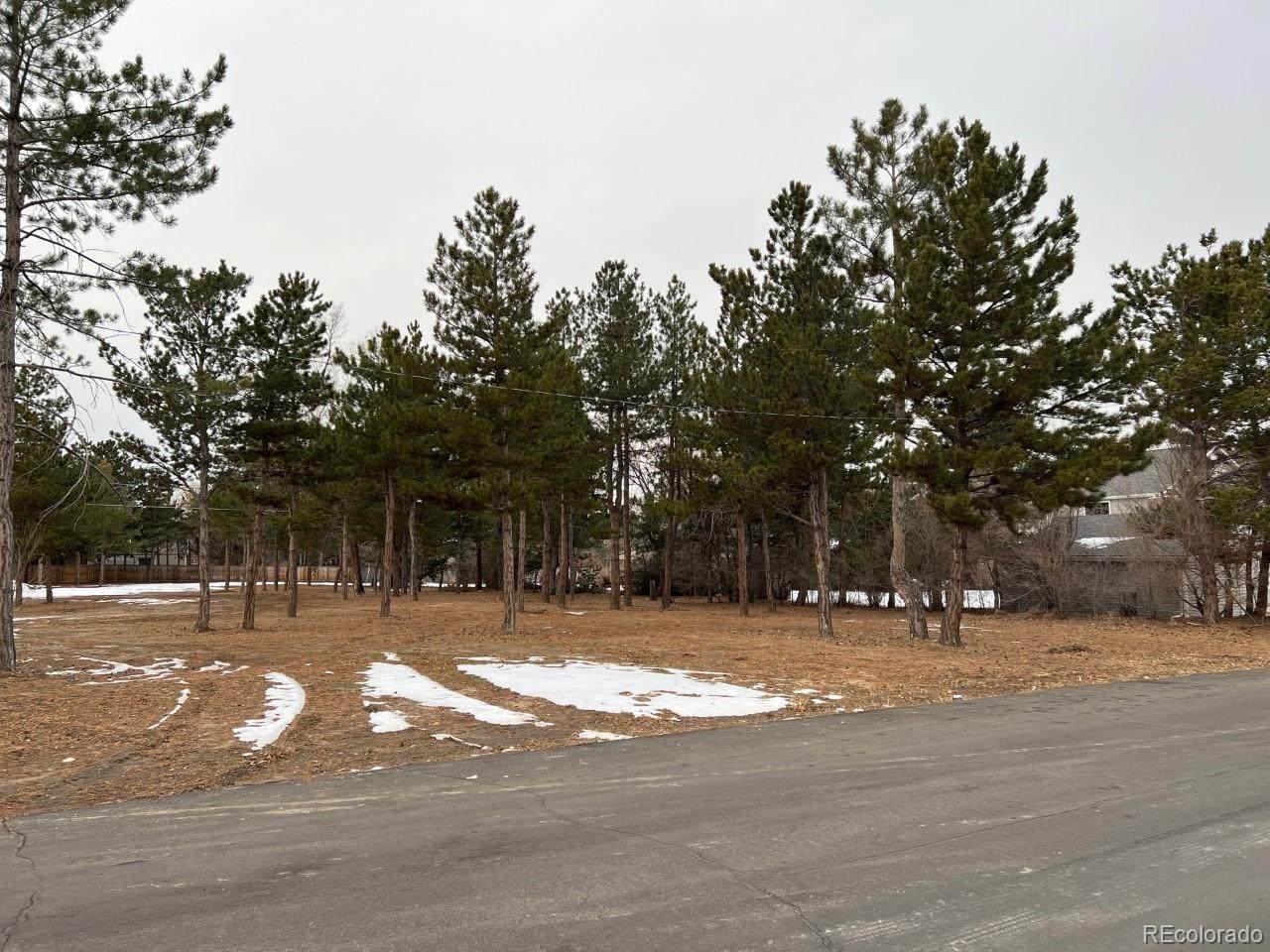 967 Geneva Street - Photo 1