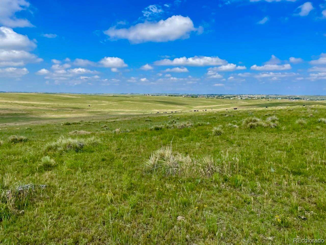 4704 County Road 186 - Photo 1
