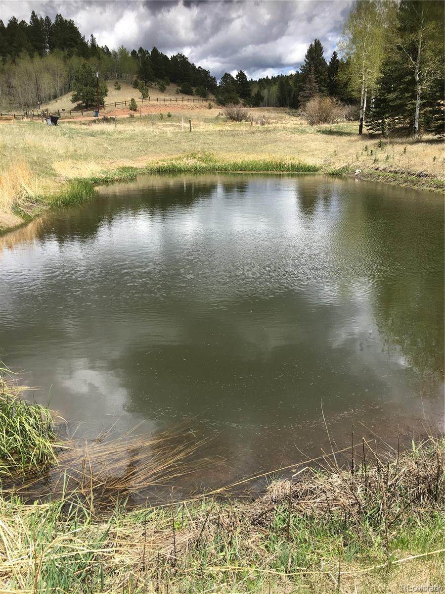 974 Bison Creek Trail - Photo 1