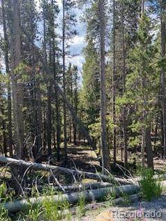 LOT 656 Alice Road - Photo 1