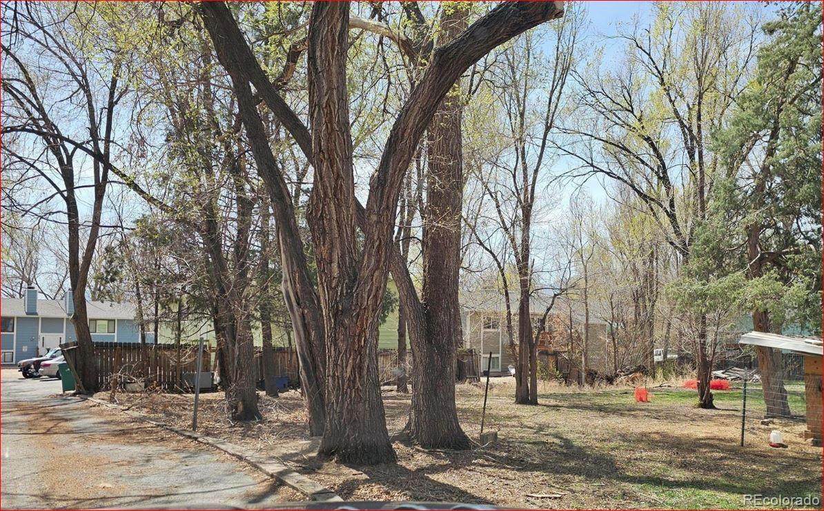 415 Van Buren Street - Photo 1