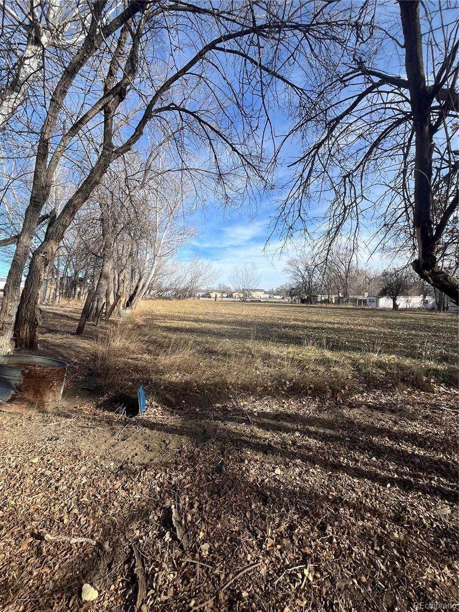 2150 Elizabeth Street - Photo 1