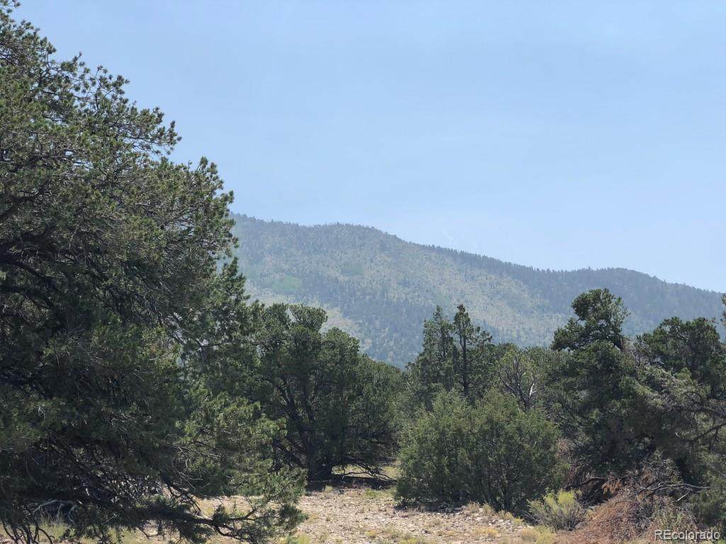 209 Blanca Place - Photo 1
