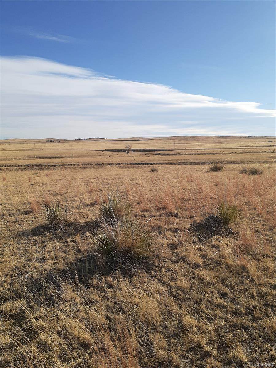 0000 Mcclelland Road - Photo 1