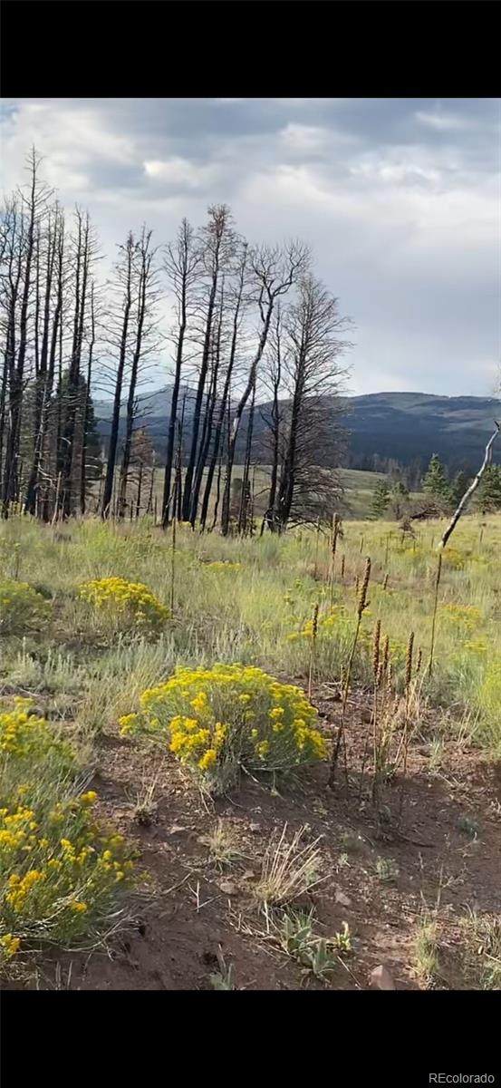 768 Shepard Place - Photo 1