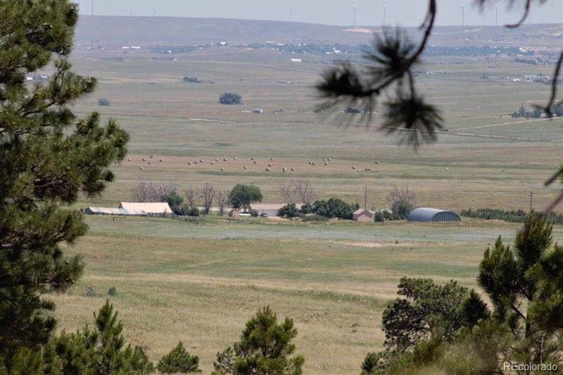 Tract 19 Sweet Road - Photo 1