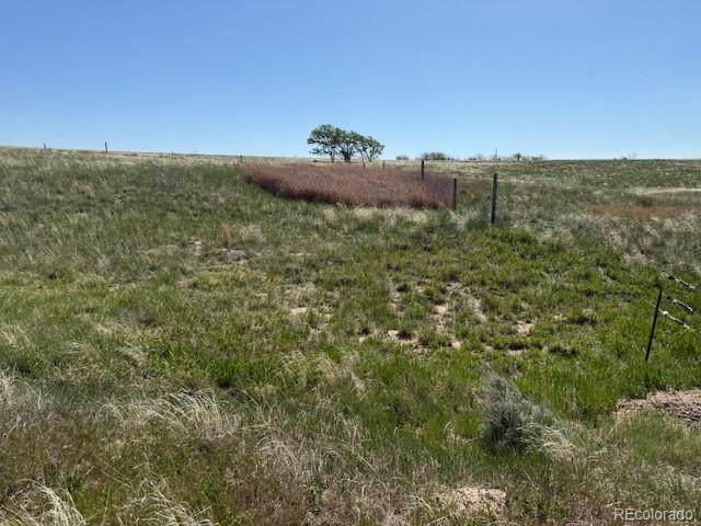 Lot 36-37 Arlyn Way - Photo 1