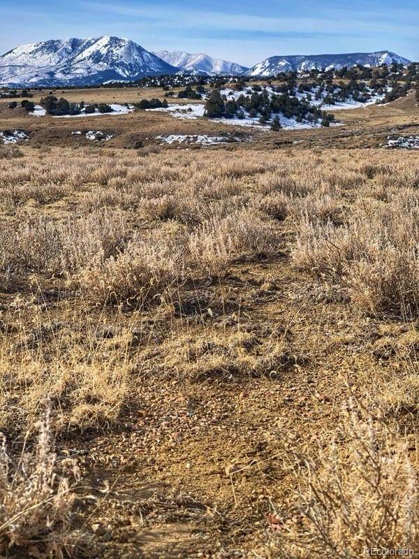 Lot 13 Turkey Creek Ranches - Photo 1