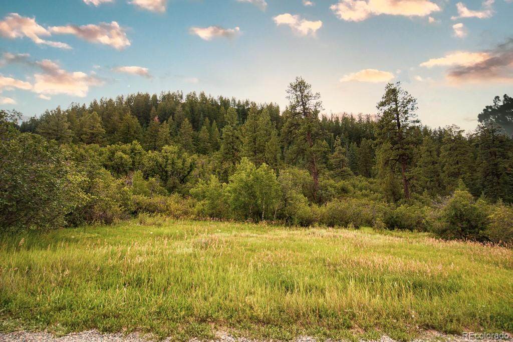16 Pine Spring Ranch - Photo 1