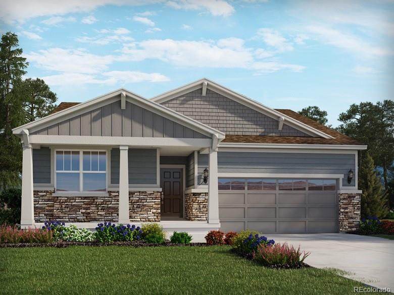 9216 Rifle Street - Photo 1