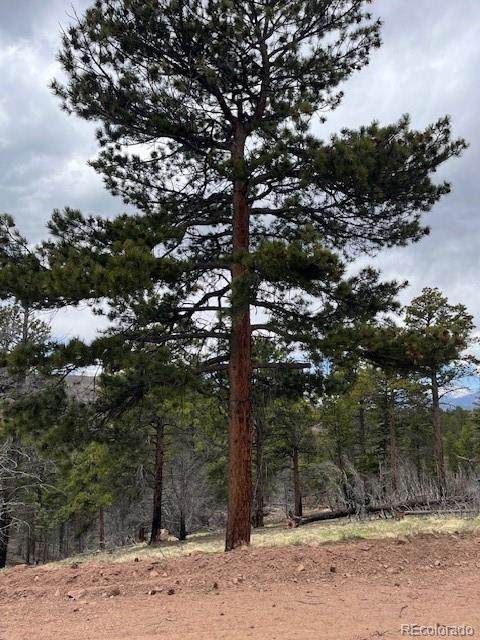 Lot 513 Leslie Loop - Photo 1